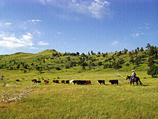 USA-Wyoming-New Haven Ranch